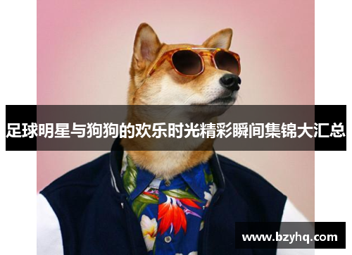足球明星与狗狗的欢乐时光精彩瞬间集锦大汇总